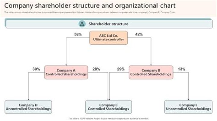 Are directors of companies shareholders?