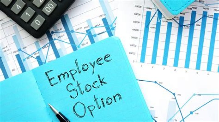Are employee stock options considered earned income?