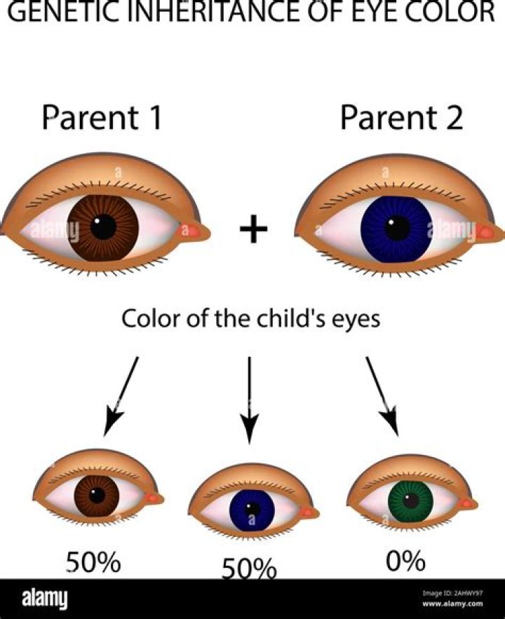 Are eye colors inherited?