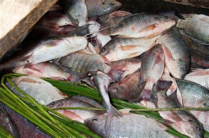 Are fishing lakes profitable?