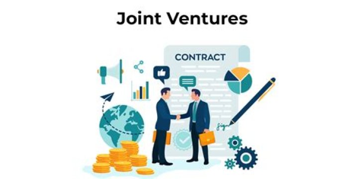 Are joint ventures temporary?