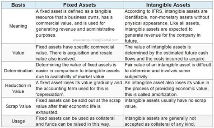 Are loan fees considered intangible assets?