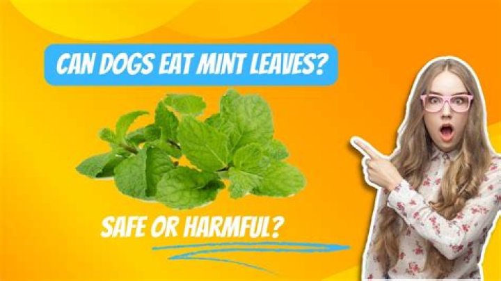 Are mint leaves good for birds?