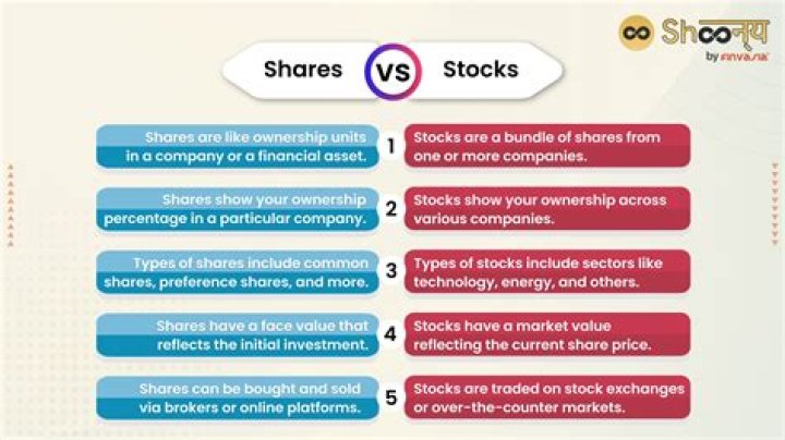 Are owners of shares of stocks in a stock corporation?