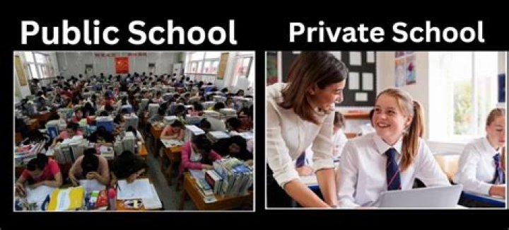 Are private schools run as charities?