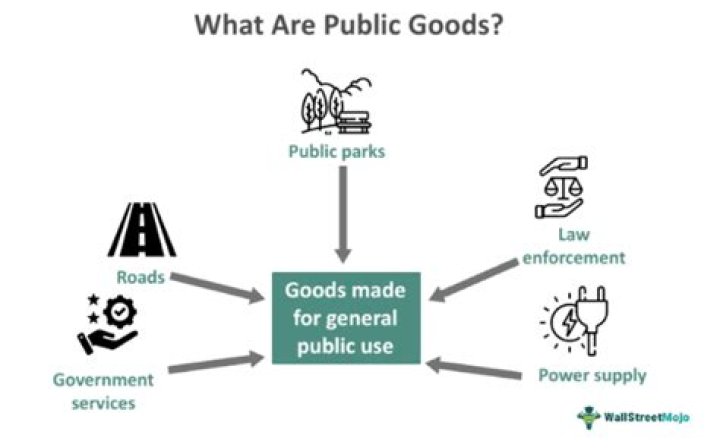 Are public goods funded by taxes?