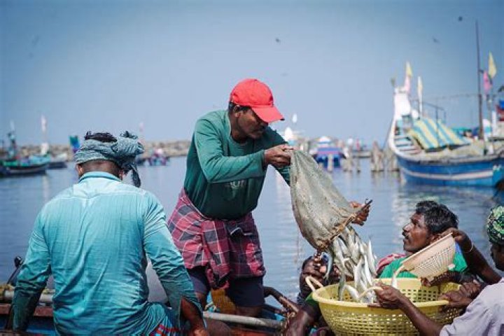 Are share fishermen self-employed?