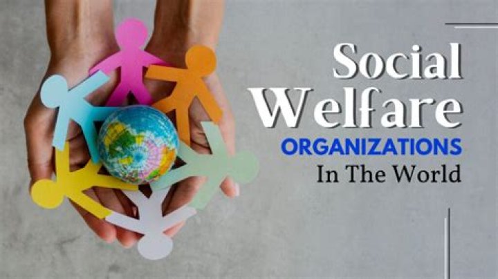 Are social welfare organizations tax-exempt?