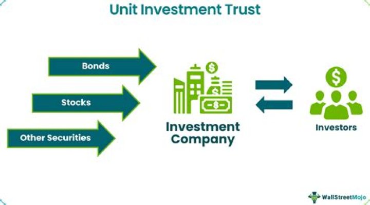Are unit investment trusts exempt?