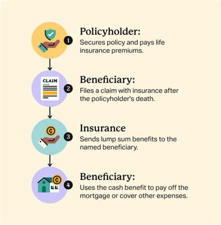 Can a 401k own a life insurance policy?