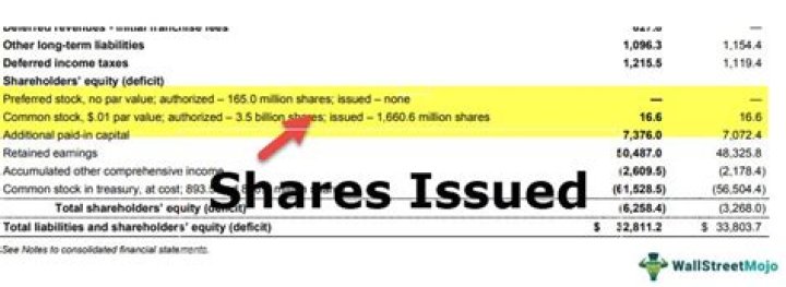 Can a company have unlimited authorized shares?