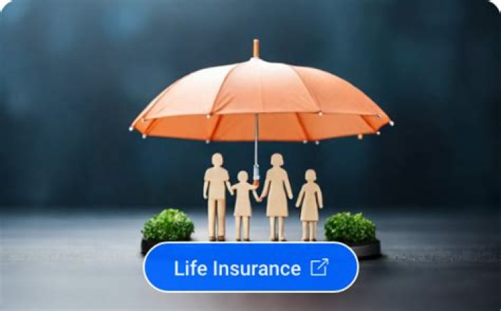 Can a company pay life insurance for a director?