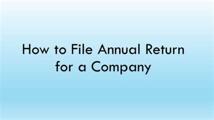 Can a director file an annual return?