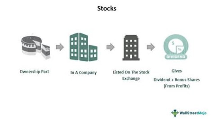 Can a holding company own stocks?
