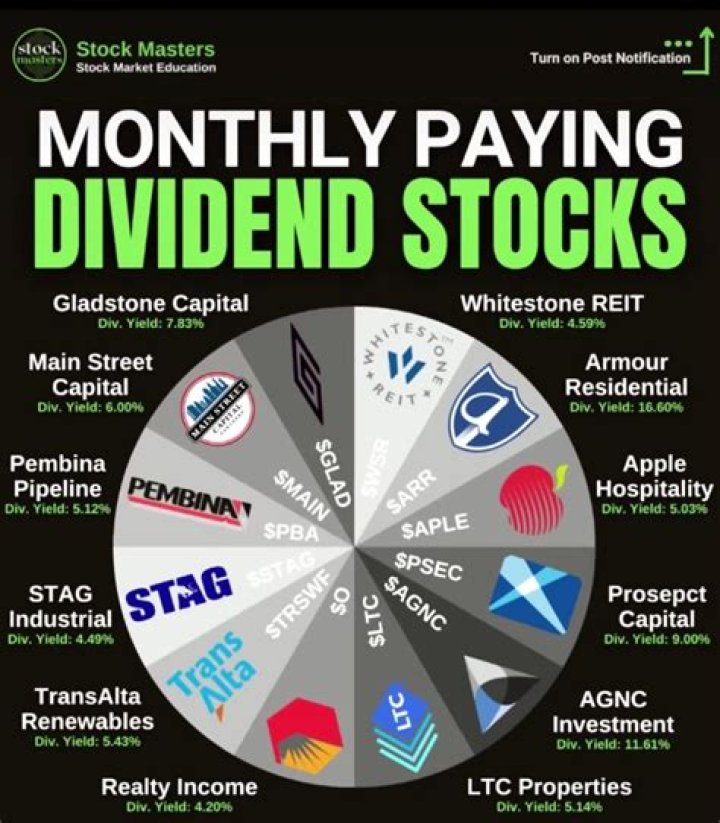 Can a limited company pay dividends monthly?