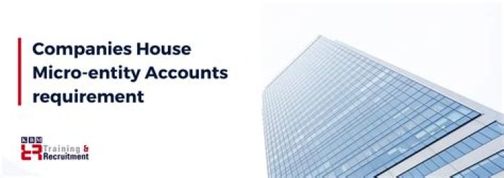 Can a parent company file micro-entity accounts?