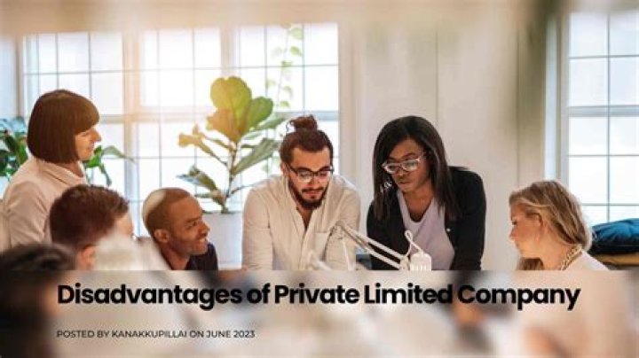 Can a private limited company pay dividend?