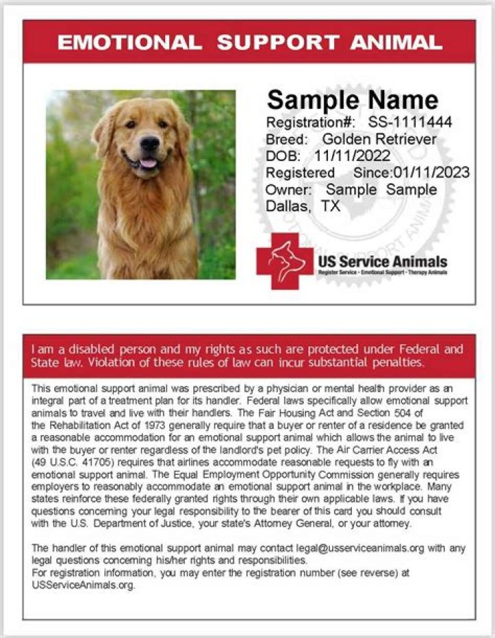 Can a service dog be for emotional support?
