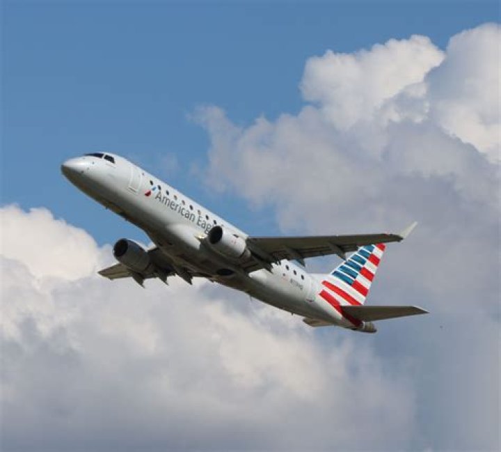 Can a web stop a plane?