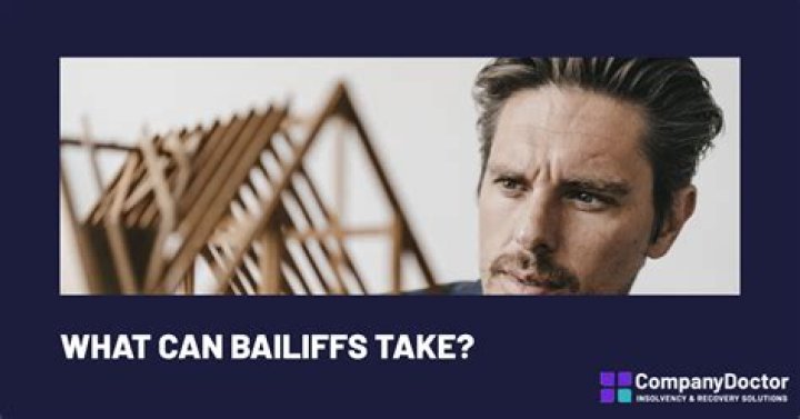 Can bailiffs take goods from a limited company?
