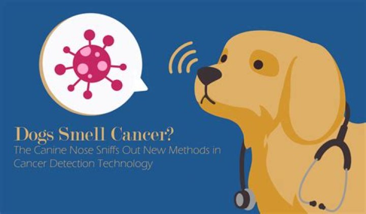 Can dogs smell snake?