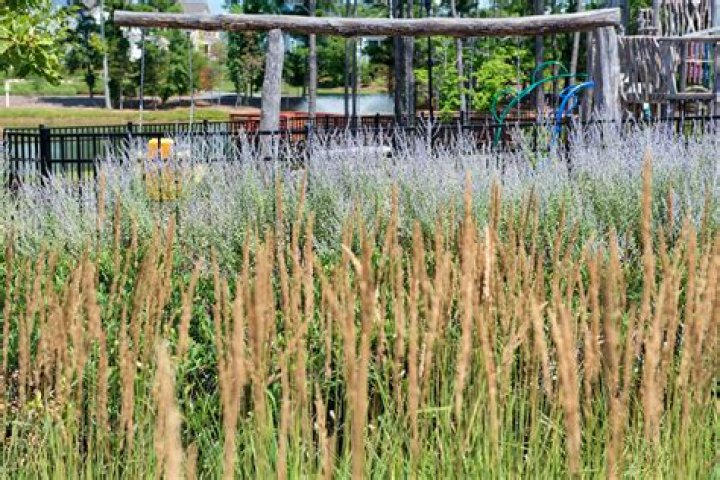 Can Hoa sell common area?