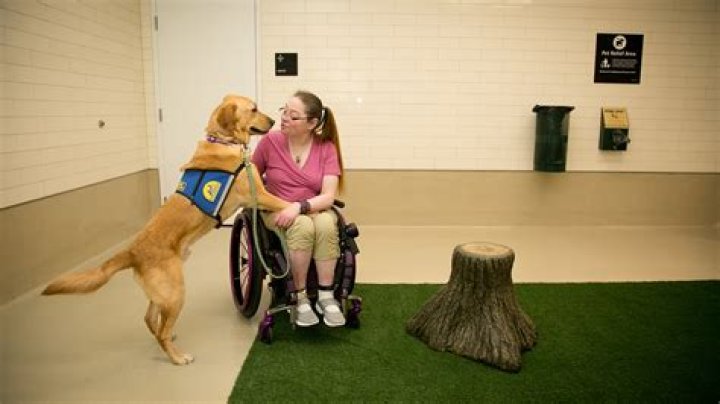 Can I bring my own car to UK?