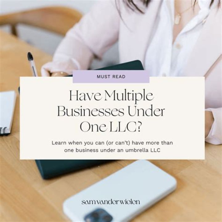 Can I have multiple online businesses under one LLC?
