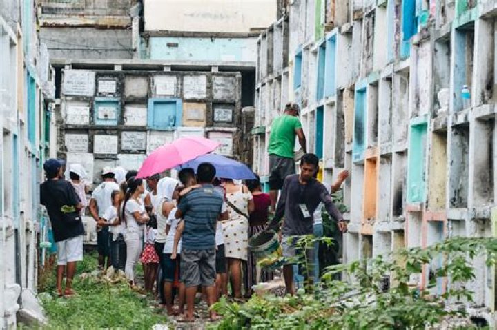 Can I own forest land?