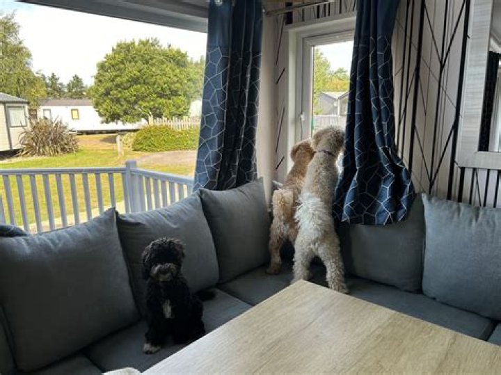 Can I rent out my holiday let?