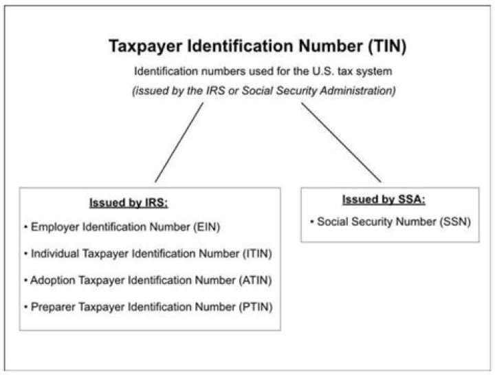 Can I use my tin as my SSN?