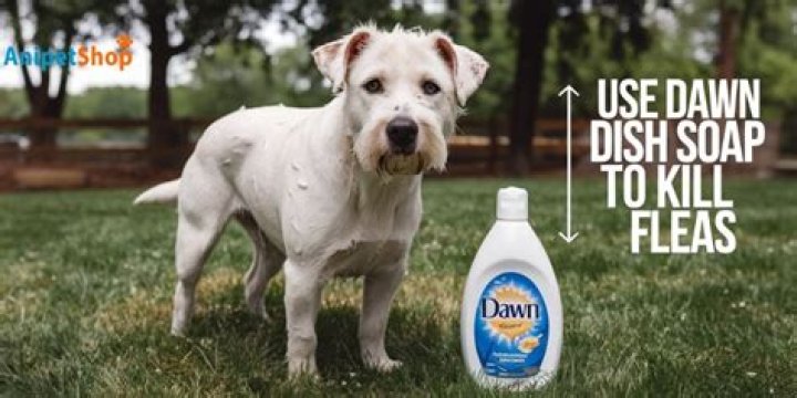 Can I wash my body with Dawn dish soap?