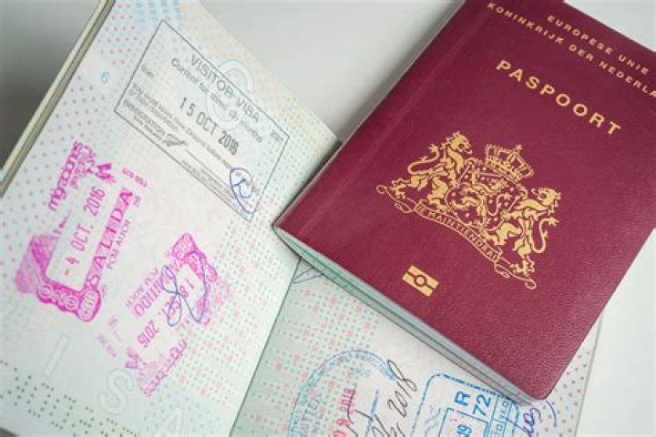 Can I work in the Netherlands with a Dutch passport?