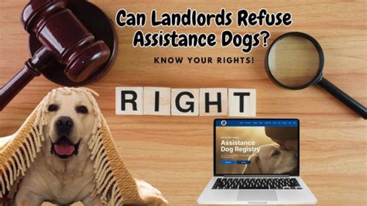 Can landlords refuse DSS 2021?