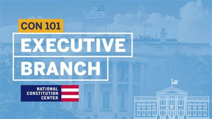 Can the executive branch collect taxes?