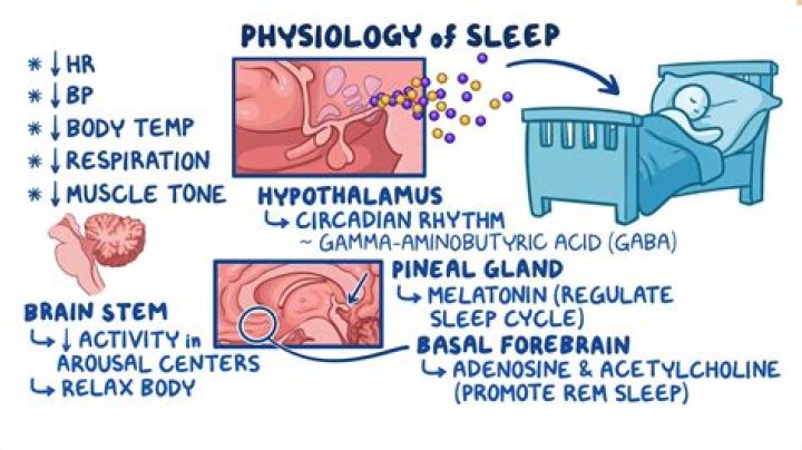Can we sleep head in east?