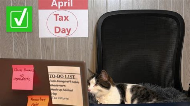 Can you deduct pet expenses?