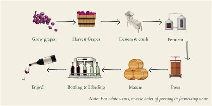 Can you drink wine that is still fermenting?