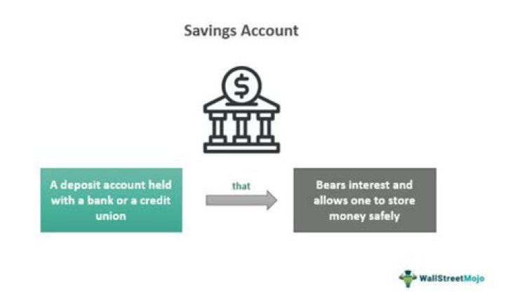 Can you put money in a savings account?