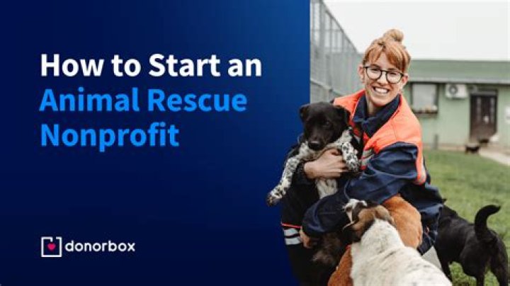 Can you start an animal rescue?