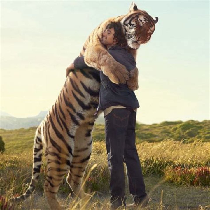 Can you tame a tiger?