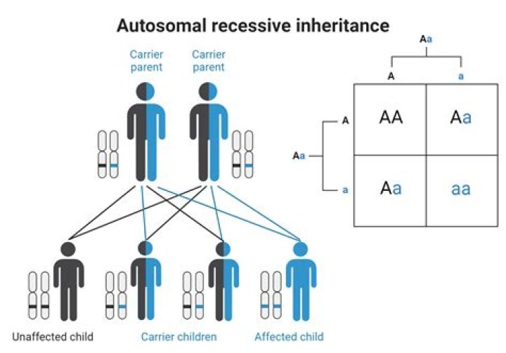 Can you transfer an inheritance to someone else UK?
