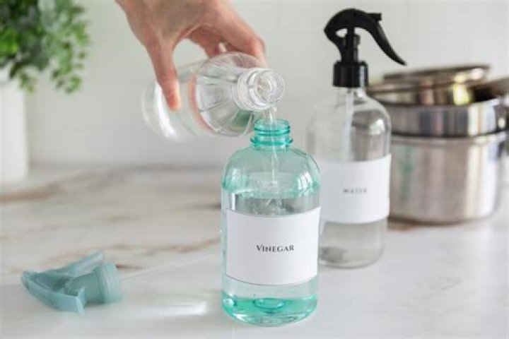 Can you use normal vinegar instead of white vinegar for cleaning?