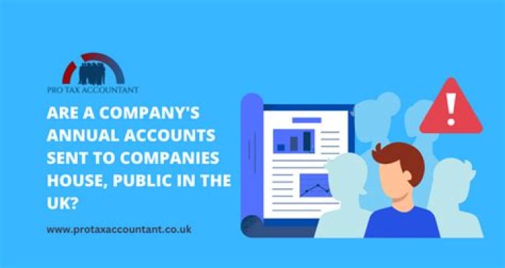 Do all limited companies have to publish their annual accounts?