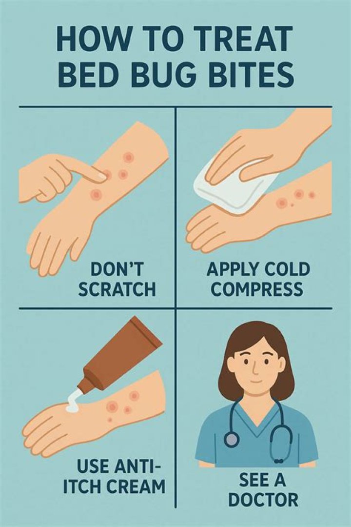 Do bed bug bites blanch when touched?