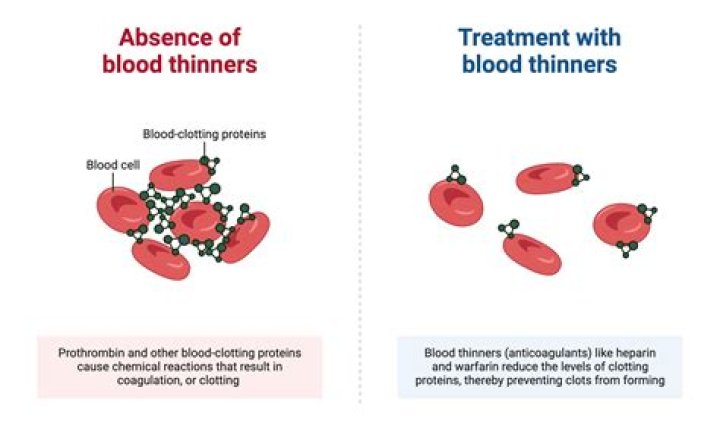 Do blood thinners reduce life expectancy?