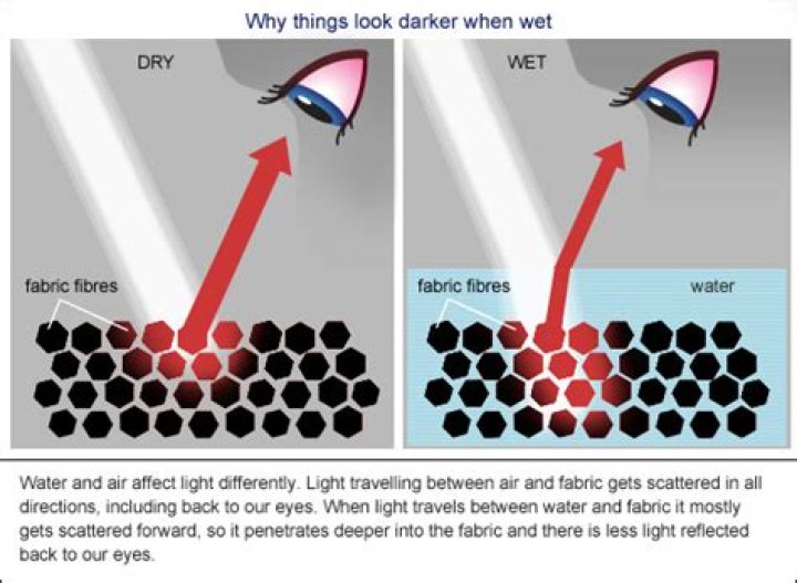 Do bricks look darker when wet?