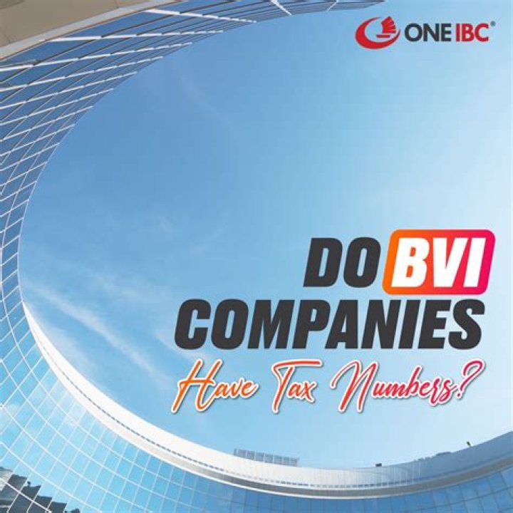 Do BVI companies have share capital?