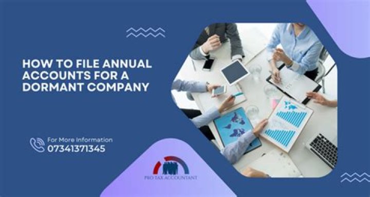 Do I need an accountant to file dormant accounts?