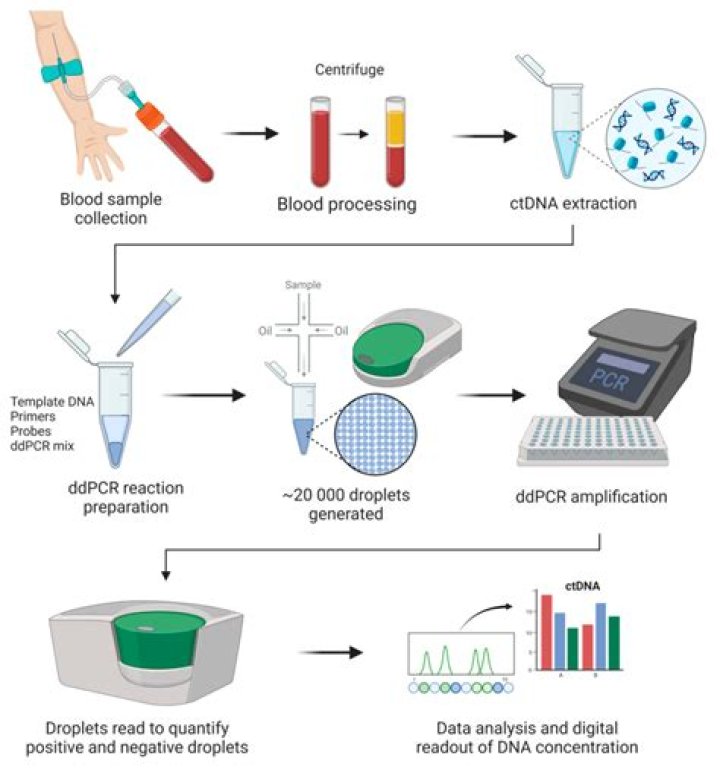 Do I need PCR test to enter Ireland from UK?